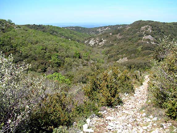 Le vallon de la Sapine