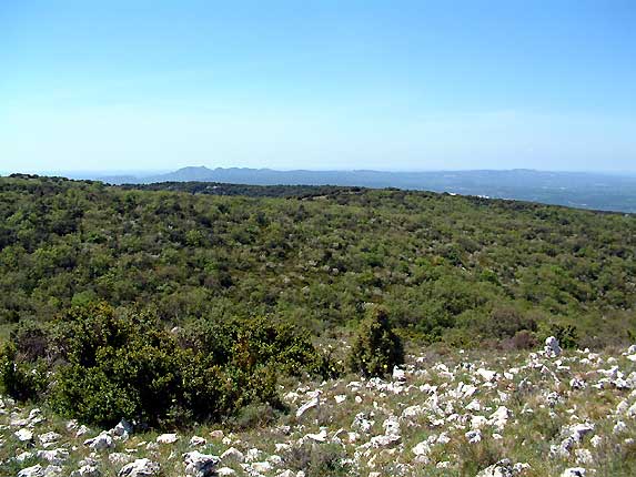 Les Opies, sommet des Alpilles