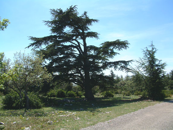 La route des crtes