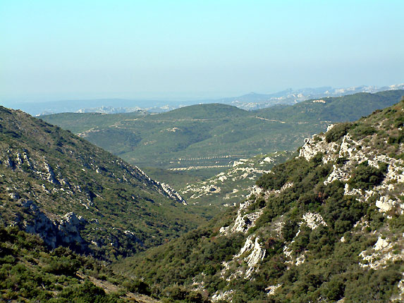 Panorama sur le vallon, ouest des Alpilles