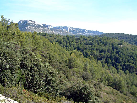 Mourre de la Saume - 505 m