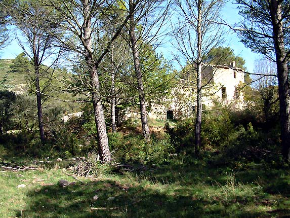 Les ruines de la Petrossi