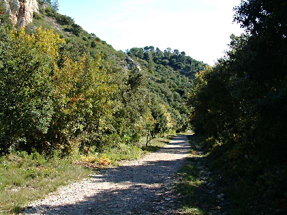 Diversit dans le vallon