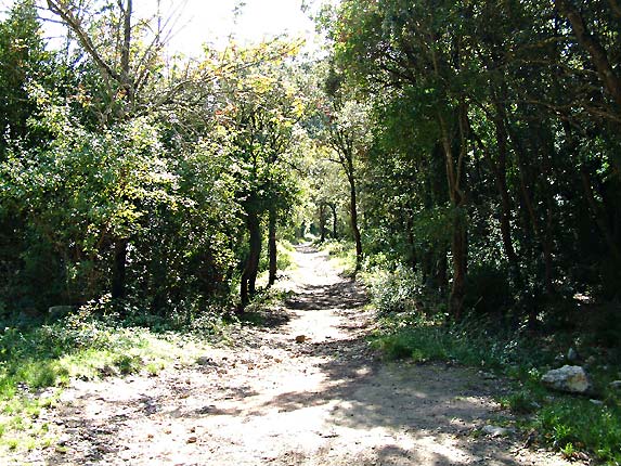 Sentier conduisant aux gorges du rgalon