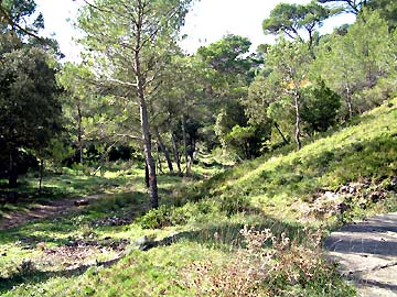 Sentier menant  la ferme des Mayorques