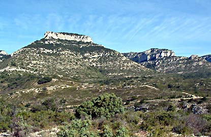 Mourre de la Saume - 505 m