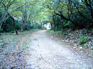 A l'ombre, dans la galre