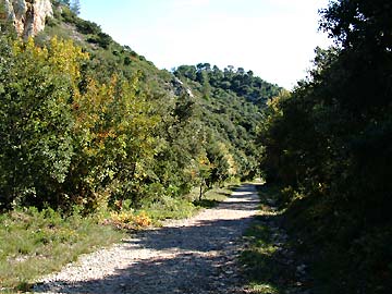 Diversit dans le vallon