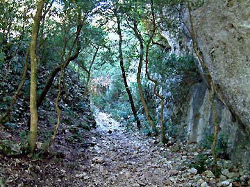 Les rochers succdent aux arbustes