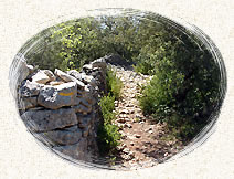 Sentier le long d'un mur de pierres