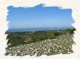 Panorama sur la vallée de la Durance