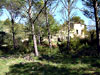 Les ruines de la ferme Petrossi - Luberon - Provence