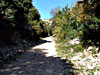 Chemin dans le vallon de la galre, Luberon - Provence