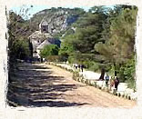 l'Abbaye de Sénanque