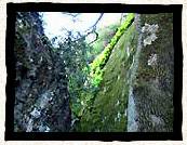 Les étroites gorges  - Luberon - Provence