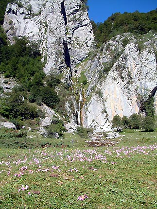 Cascade de Sanchese