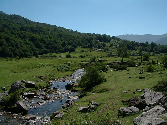 Prairie au pied de la cascade de Sanchese