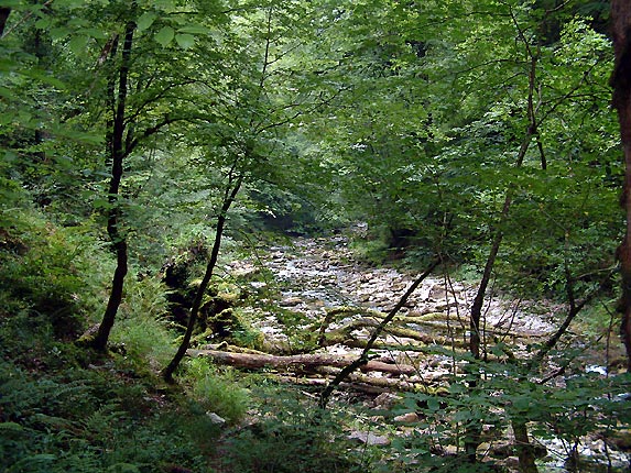 Le torrent des gorges