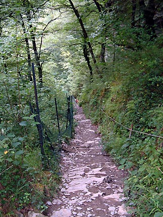 Le sentier, la partie la plus grimpante