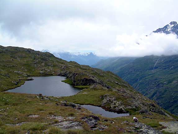 Les lacs de Bellecombe et la dent Parrache (3697 m)