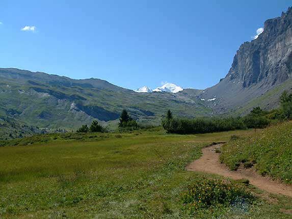 Sommet du Mont Blanc