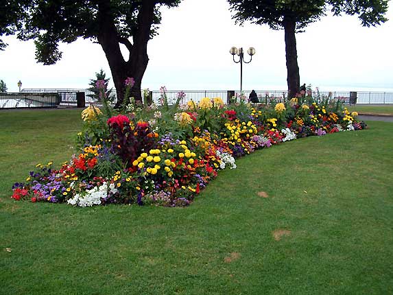 Parterre fleuri de la place du chteau