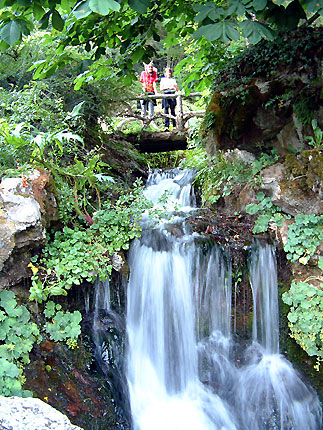 Cascade dans le jardin de la Jaysinia