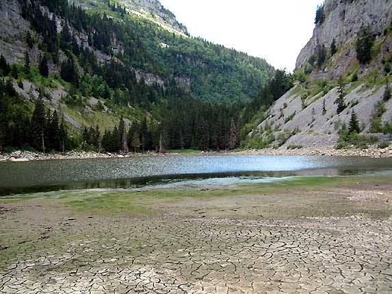 La terre craquele par le manque d'eau de l't 2003