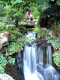 Cascade dans le jardin de la Jaysinia