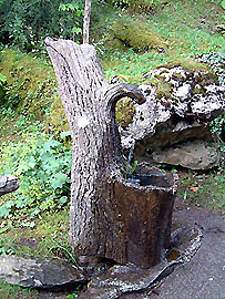 Fontaine originale dans le jardin de la Jaysinia