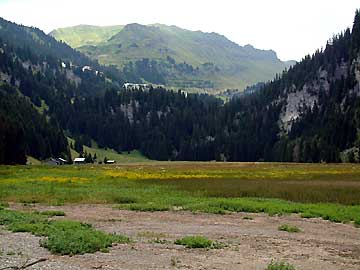 La station de Flaine et le paturage du lac