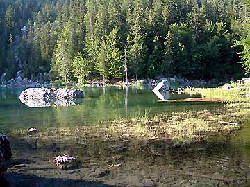 Le lac vert