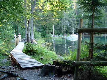 Le lac vert