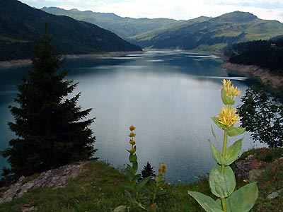Lac de Roselend -  Patrice Roatta - Juillet 2005