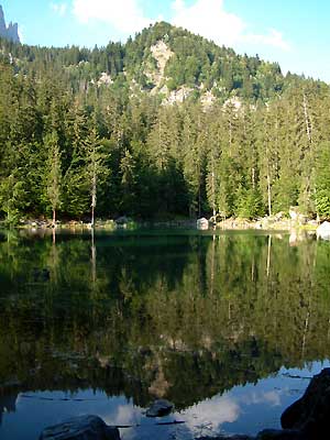 Le lac Vert -  Patrice Roatta