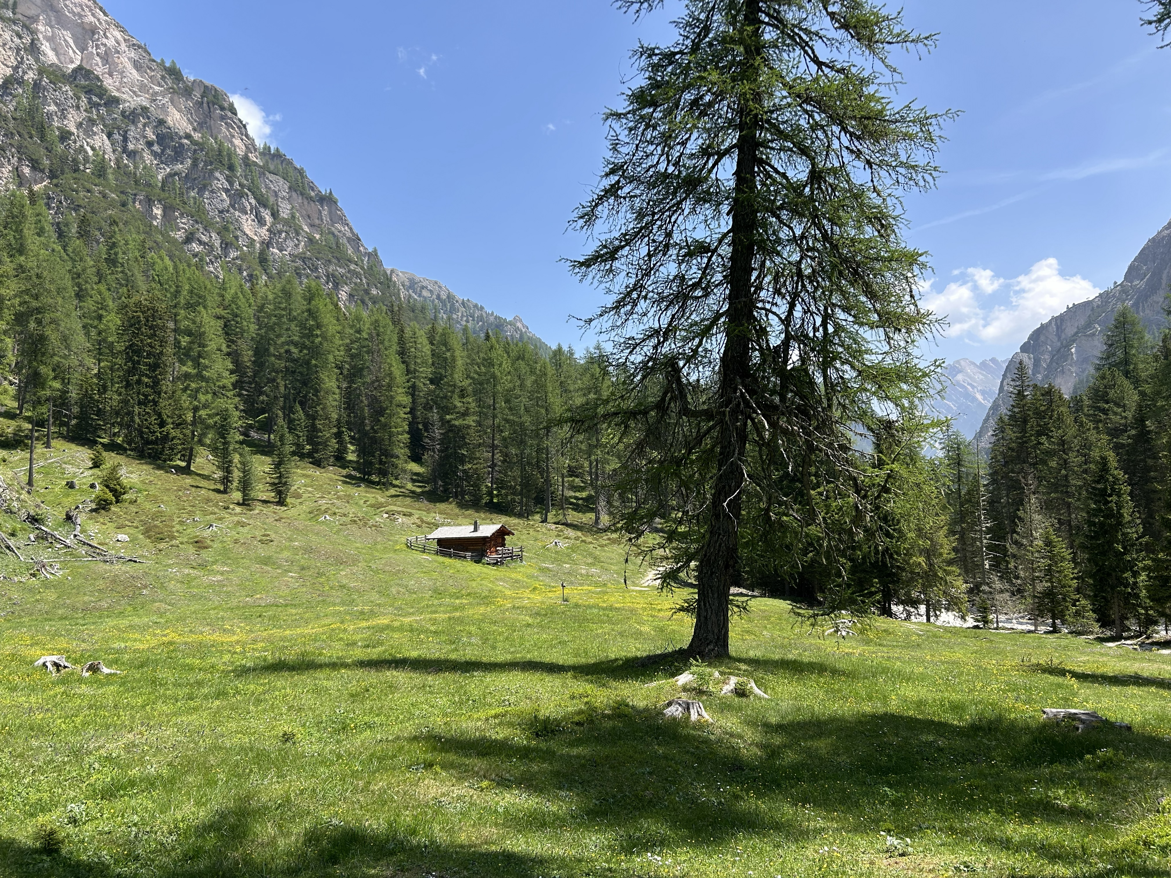 Altkaser Alm et sa prairie | Dolomites 2025 | Balades en Famille
