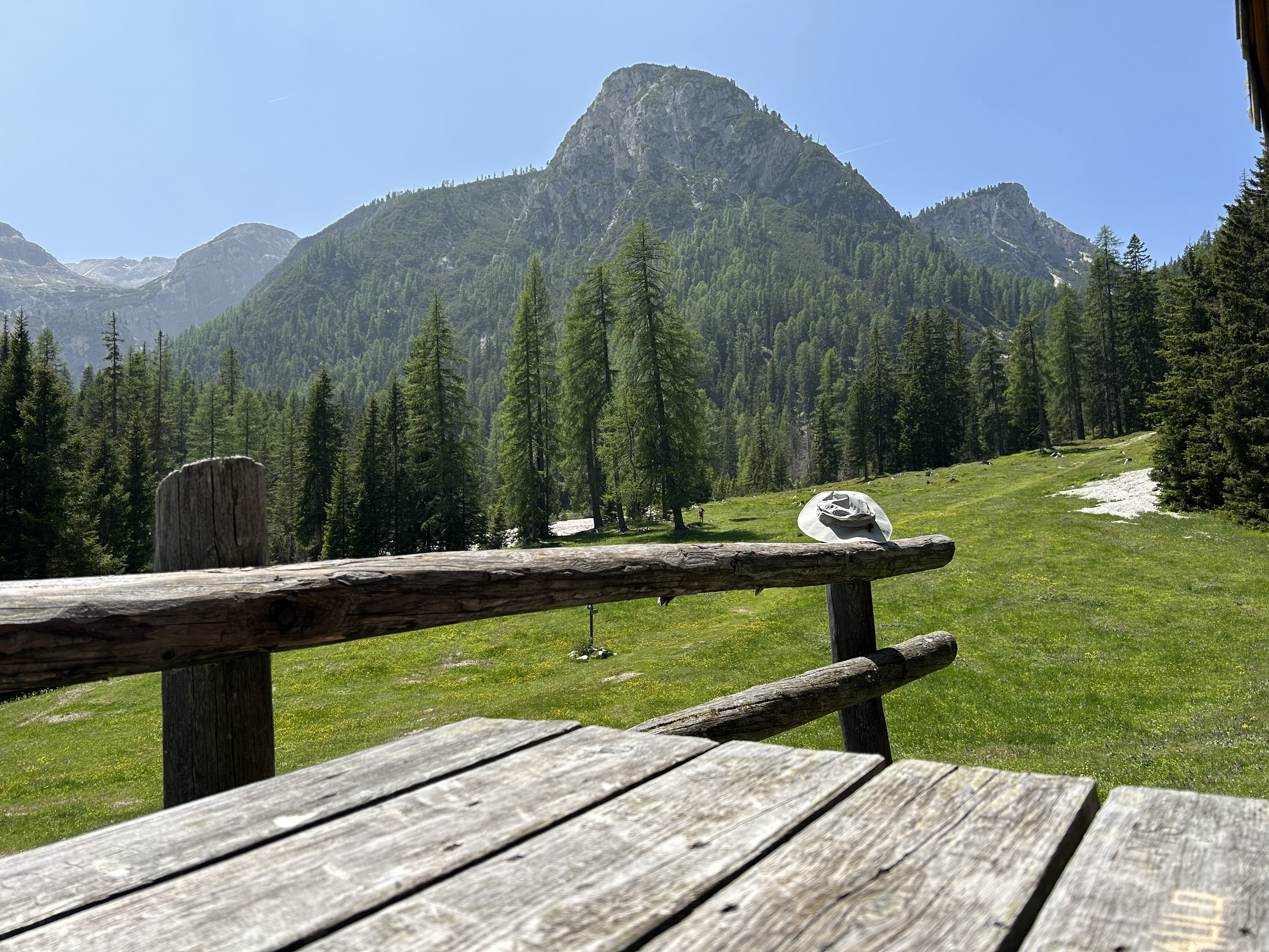 Alpage Altkaser dans le val foresta