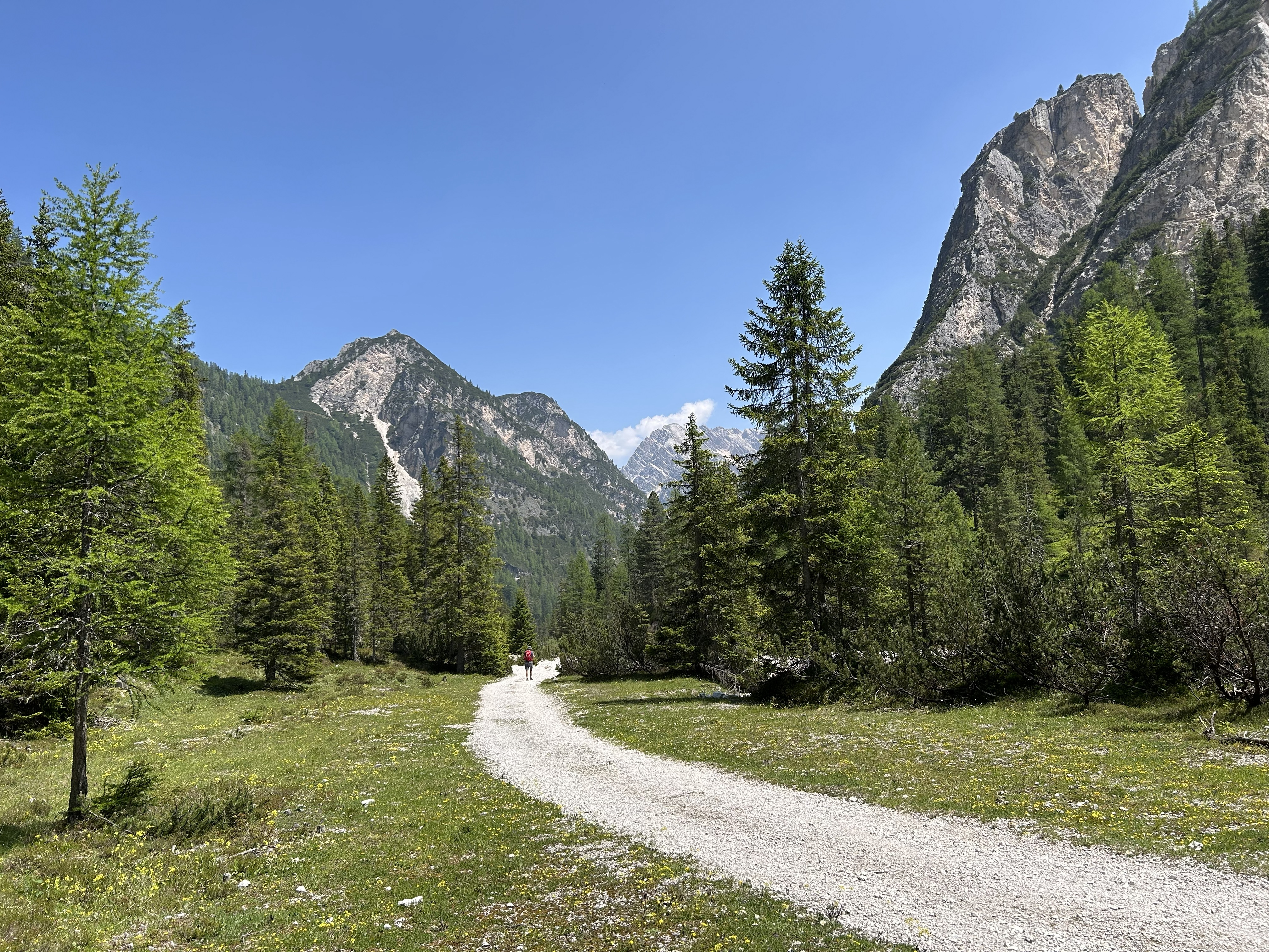 Le sentier retour vers le lac des Braies dans le val foresta