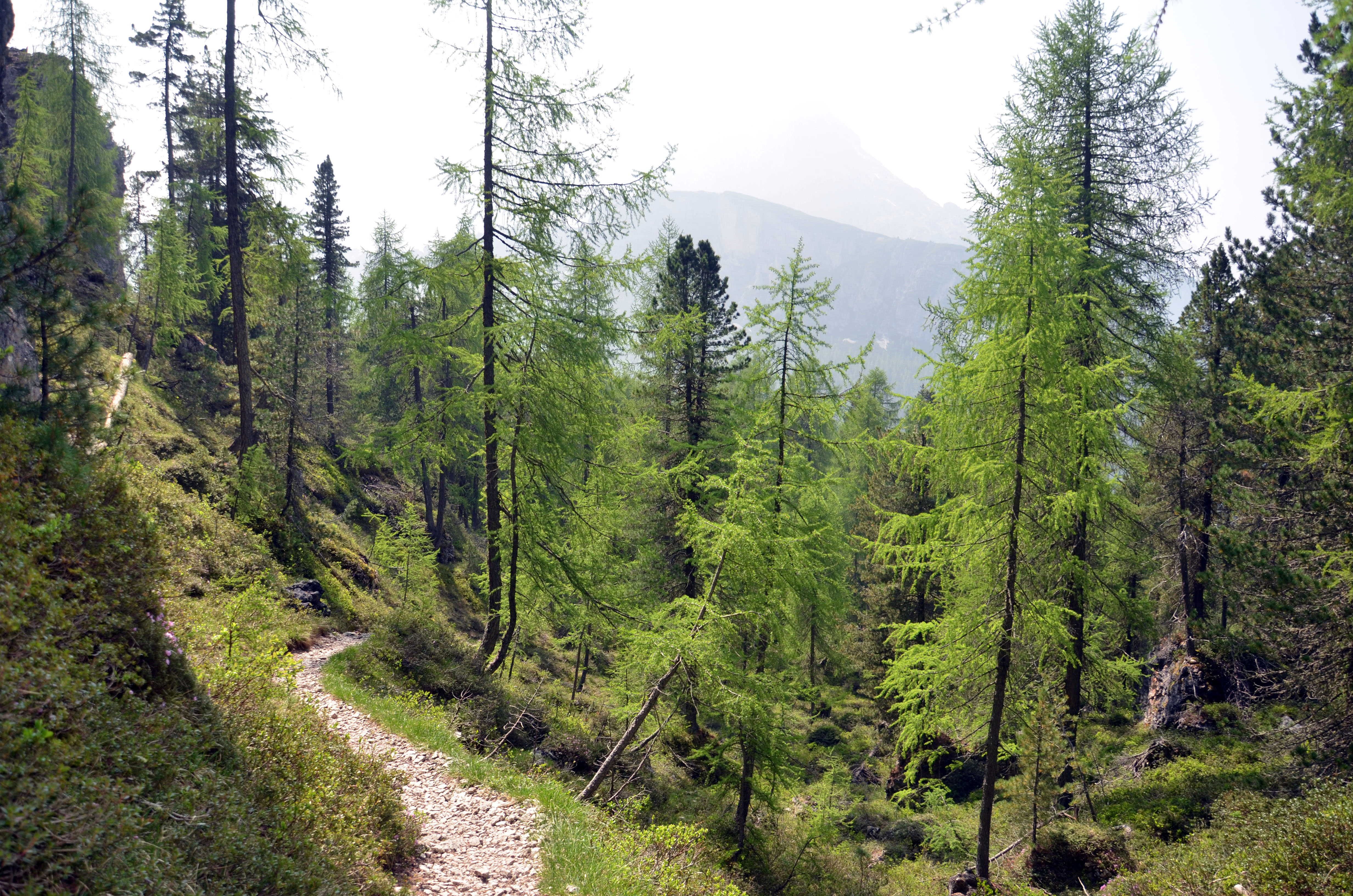 Le sentier retour, reposant et champêtre - Dolomites 2025 | Balades en Famille