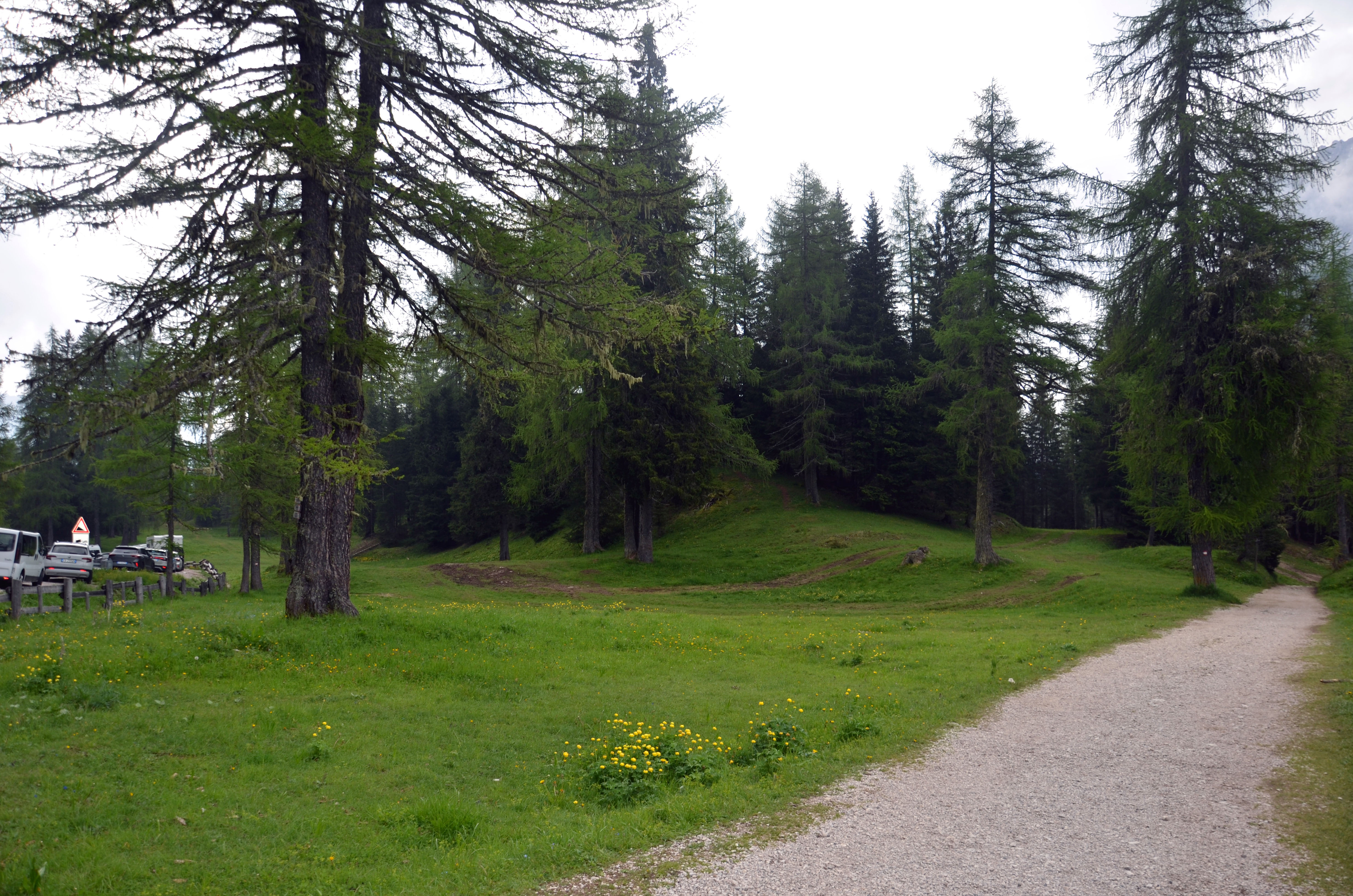 Le sentier s'engage dans la forêt | Dolomites 2025 | Balades en Famille