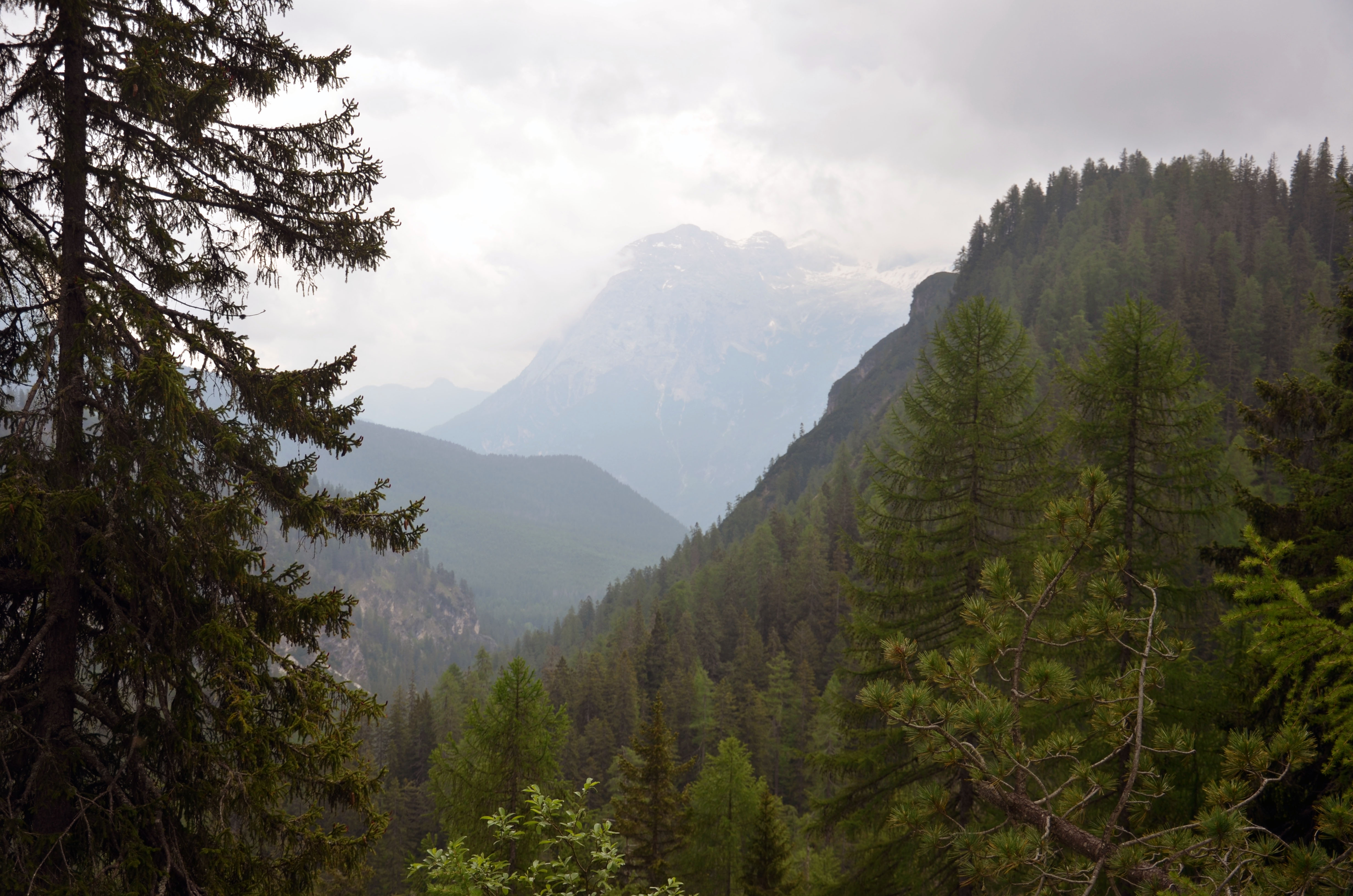 Les panoramas se dégagent | Dolomites 2025 | Balades en Famille