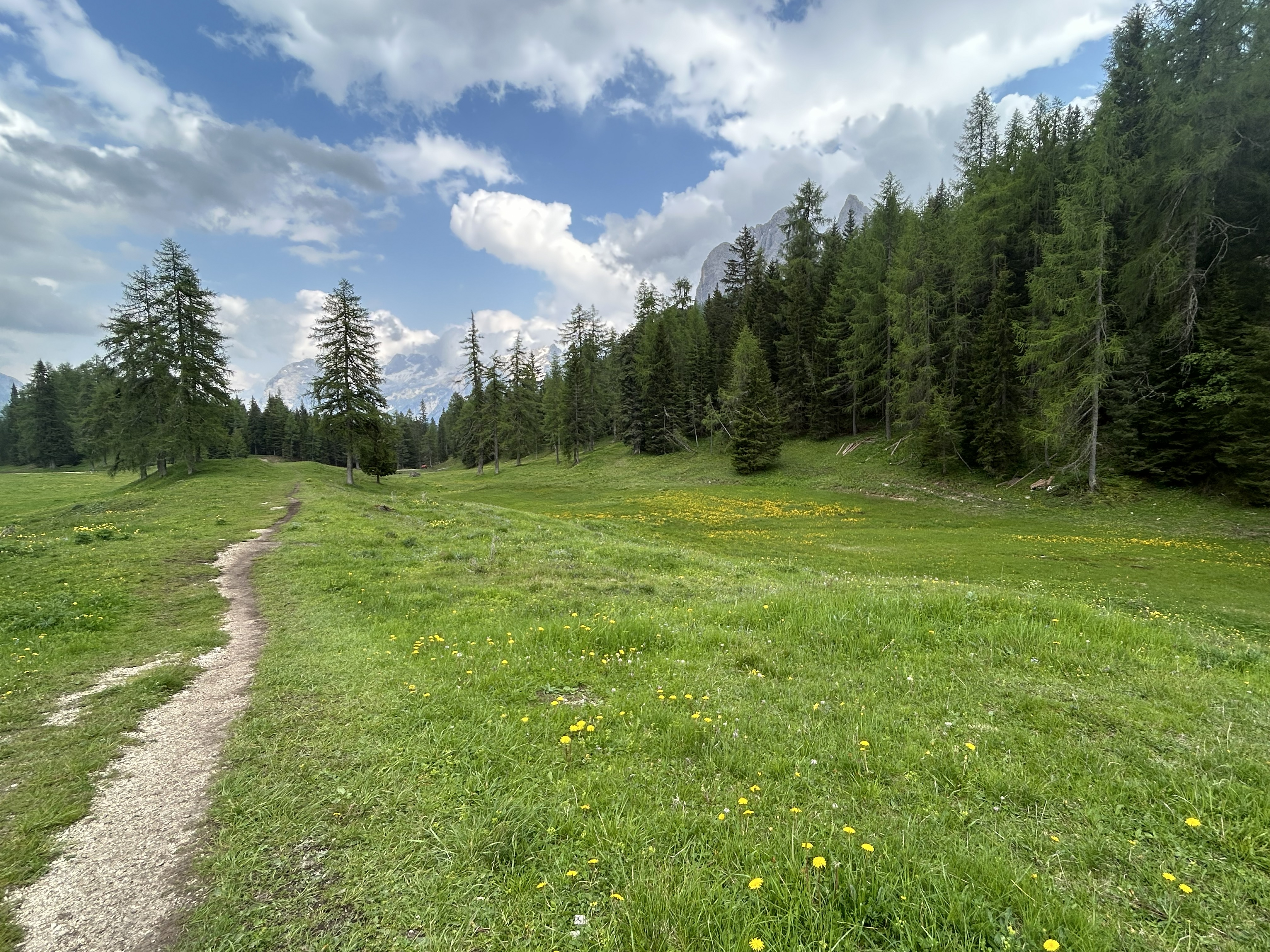 Sentier retour | Dolomites 2025 | Balades en Famille