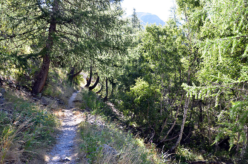 Le sentier sur la rive droite