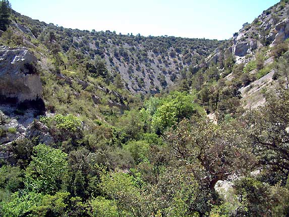 Gorges de la Snancole