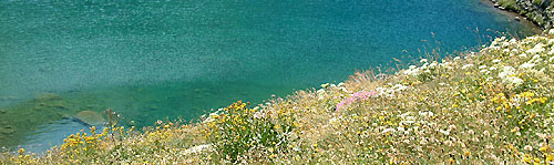 Lac d'Isabe et berge fleurie