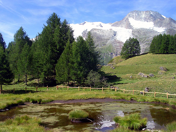 Reflet du Mont Pourri