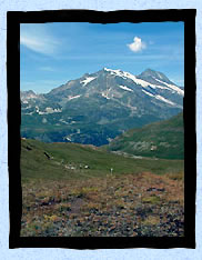 Le dbut de la balade avec vue sur le Mont Pourri et ses glaciers