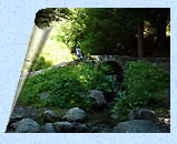 Pont de pierre sur le sentier des cascades